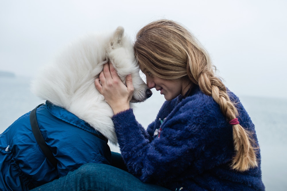 An owner and her Samoyed show each other some love. 