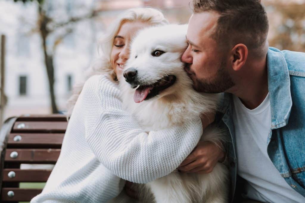 owners hugging a samoyed dog