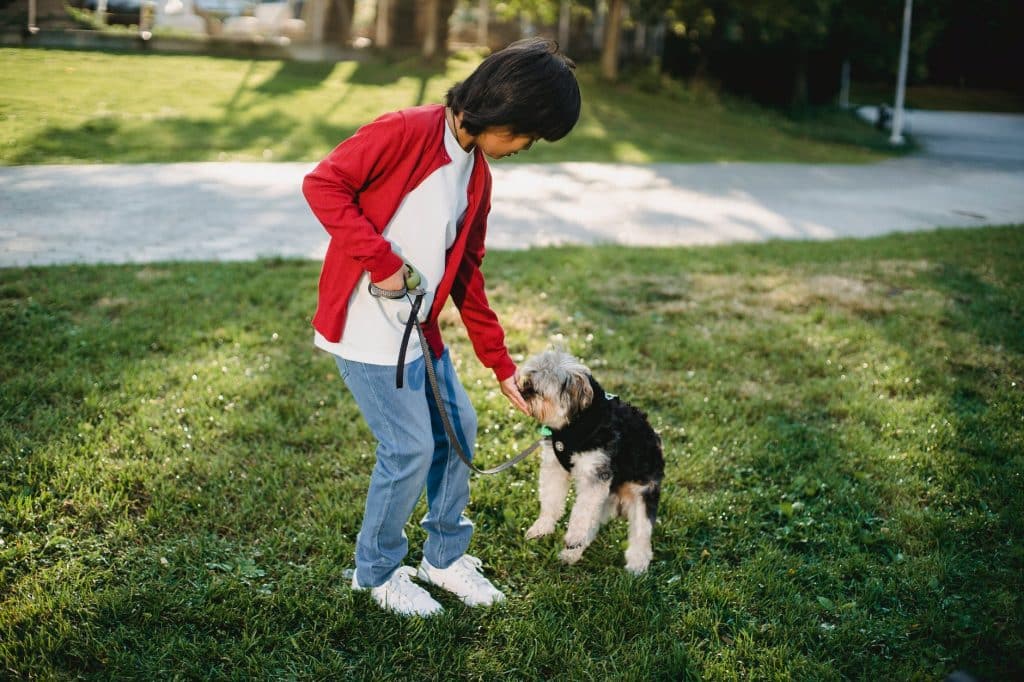 A child feeding a dog some treats.