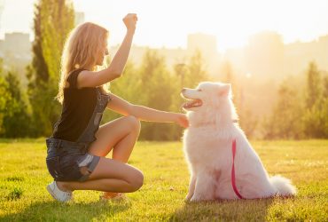 A woman crouching beside her Samoyed with her arm in the air.
