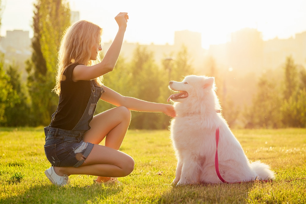 A woman crouching beside her Samoyed with her arm in the air.