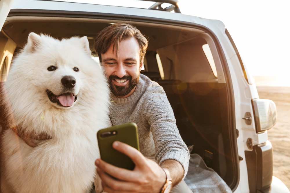 A man and Samoyed taking a picture in the back of a car.