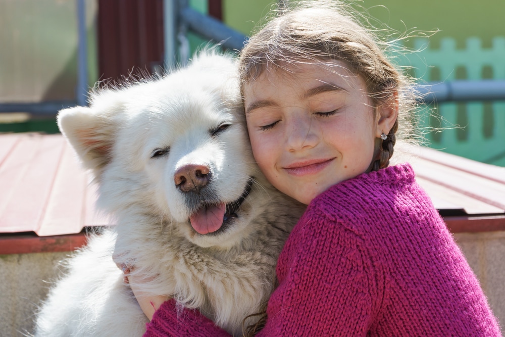 A girl hugging a Samoyed and smiling.