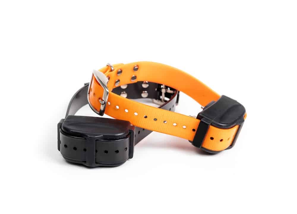 An orange and a black bark collar.