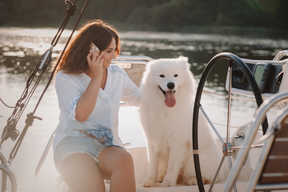 Samoyed and woman on a boat.