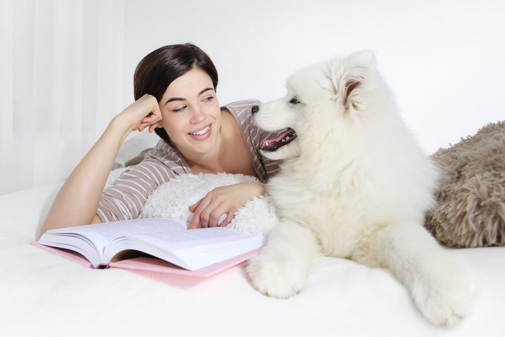 A woman and a Samoyed laying on a bed and looking at each other with an open book.