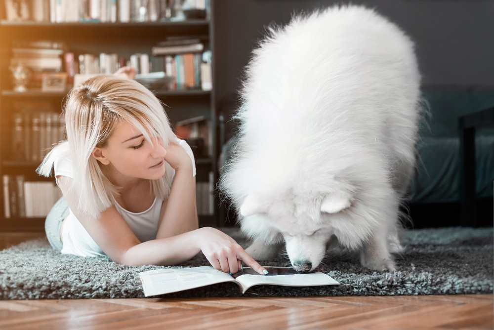 Woman pointing at a page of a magazine while her Samoyed sniffs it.