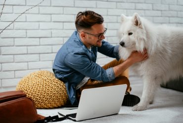 Man petting his Samoyed in his apartment.