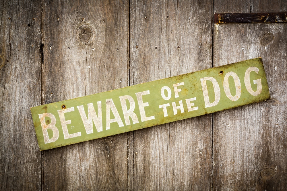 Beware of the dog sign attached to a fence.