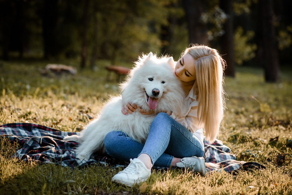Woman sitting with her Samoyed outside and hugging it.
