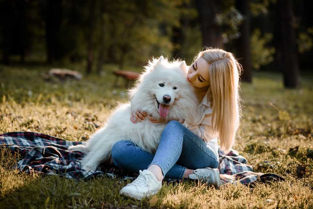 6 Easy Steps For Where To Buy Samoyedcoin? - Happy Samoyed