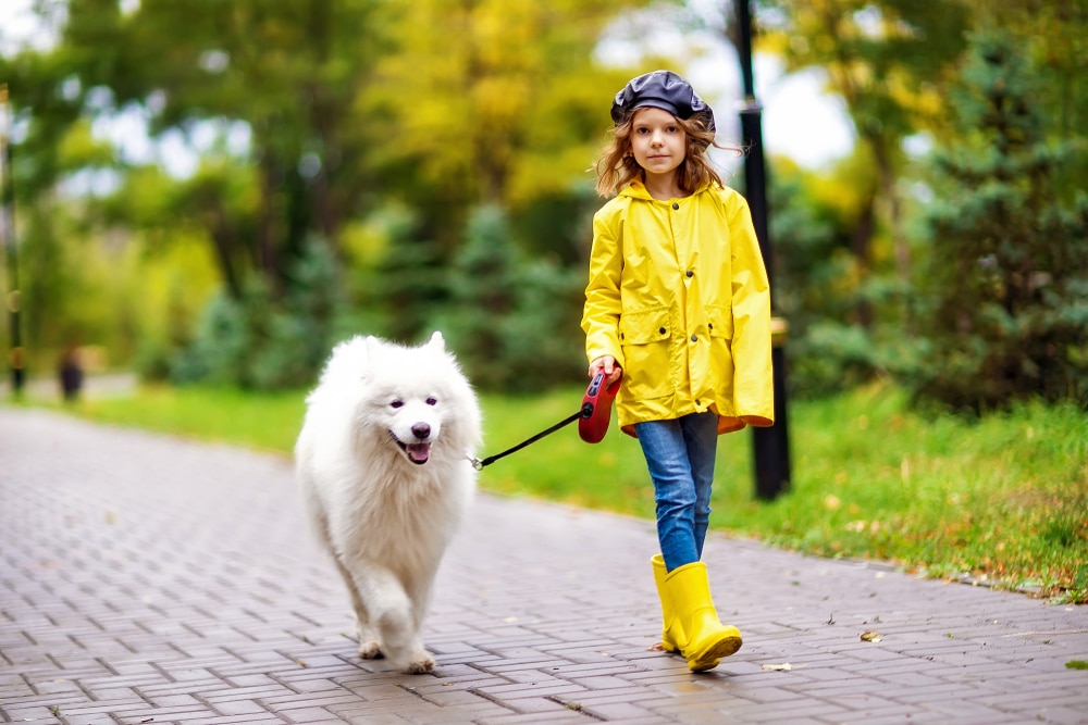 A little girl going on a walk with her dog.