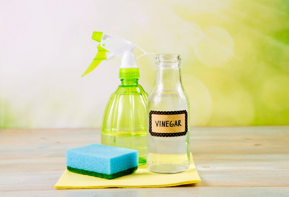 A bottle of vinegar sitting next to a sponge and a spray bottle.