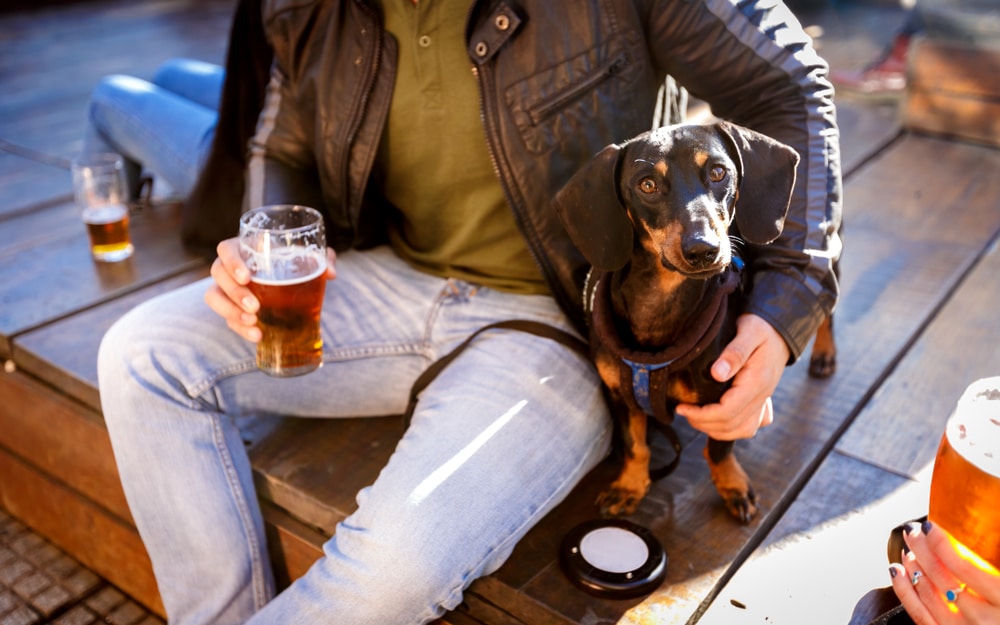 A dog being held by their owner outside with a glass of alcohol nearby.