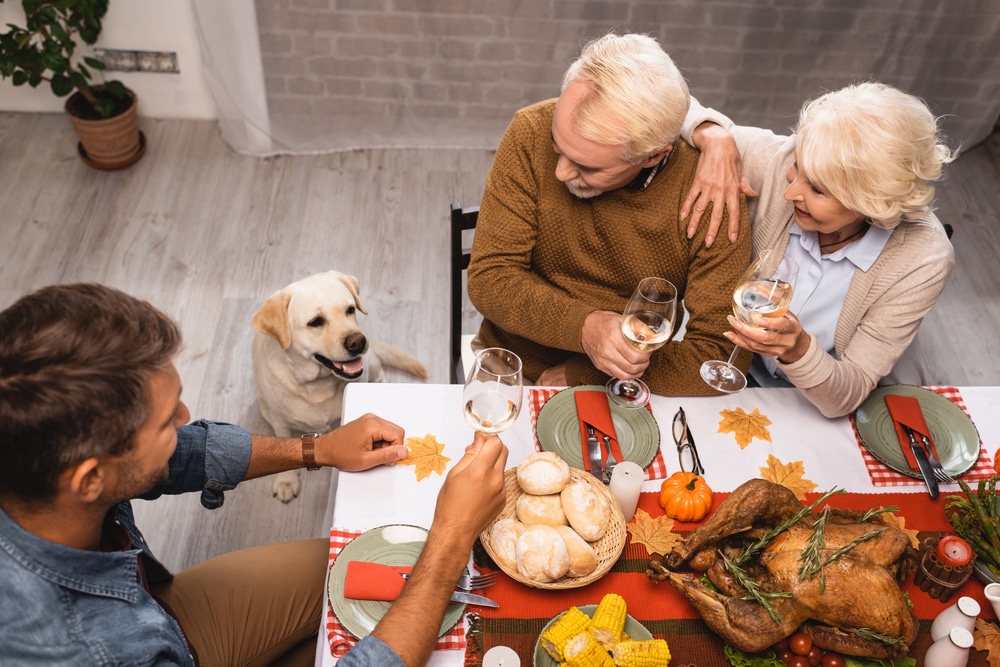 A dog sitting by a table with Thanksgiving food on it and alcohol in people's hands.