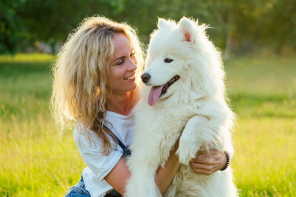 A happy Samoyed and owner on the grass.