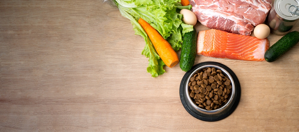 Some of the best ingredients for dog food and a bowl of dog food arranged on a table.