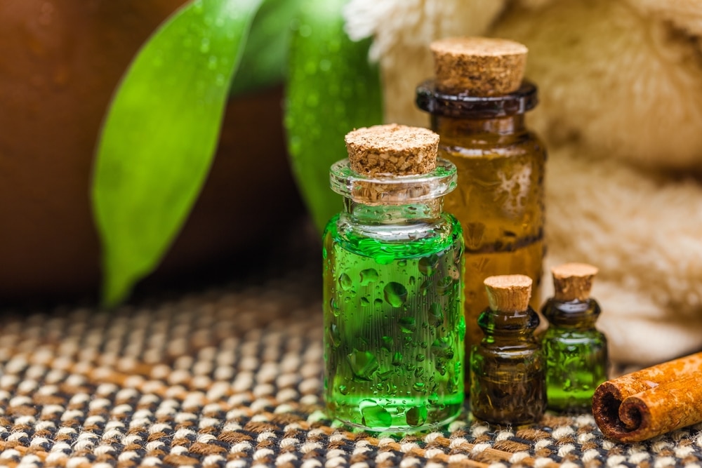 A closeup of some bottles of tea tree oil.