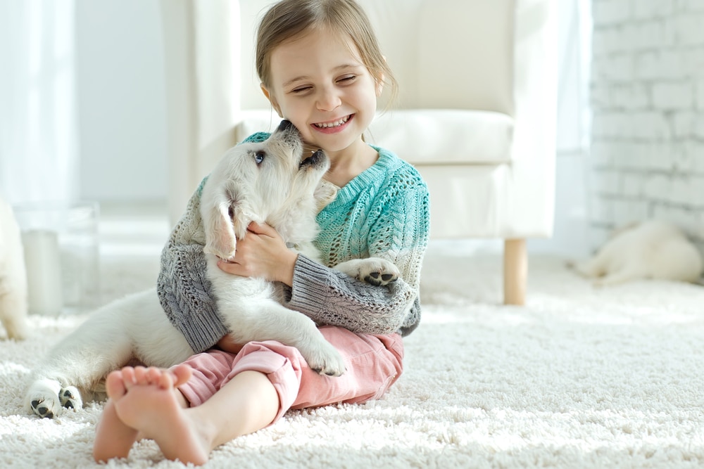 A little girl holding a puppy trying to lick her face.