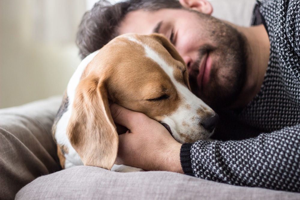 A dog and an owner sleeping together on a couch.