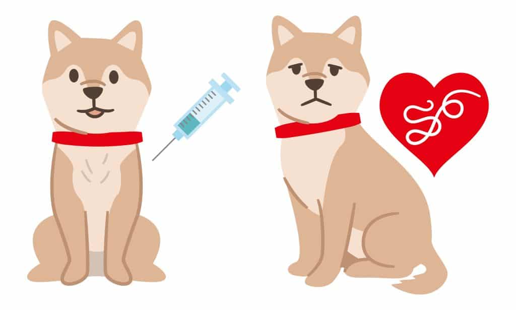 An illustration showing two dogs, one with a syringe nearby and the other with heartworms nearby.