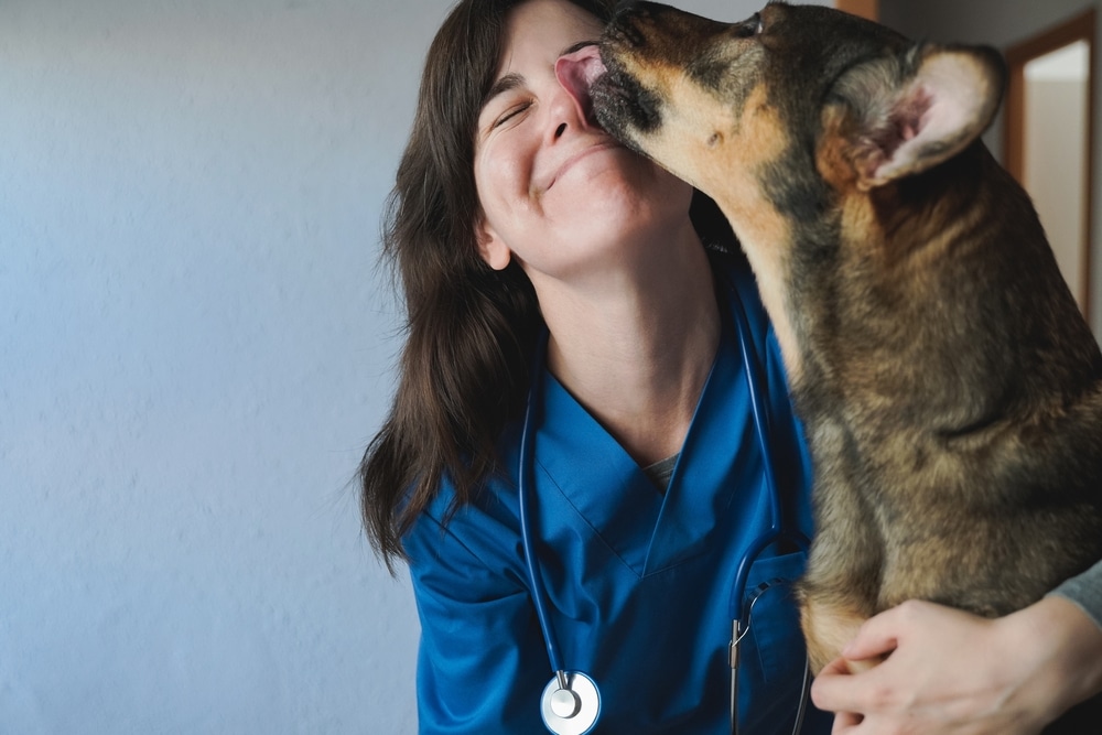 A woman vet getting licked by a dog she's holding.