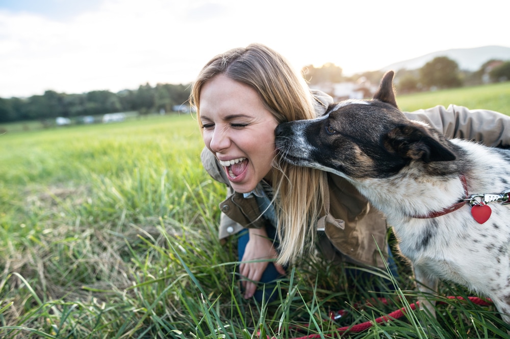 A dog licking its owner's face while they're both on the grass outside.