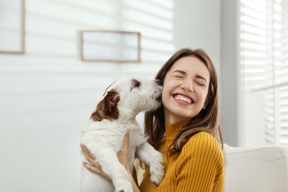 A woman holding her puppy and laughing as it licks her face.