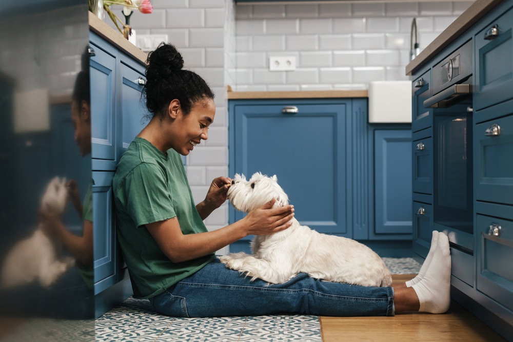 An owner sitting with their dog in their lap in the kitchen.
