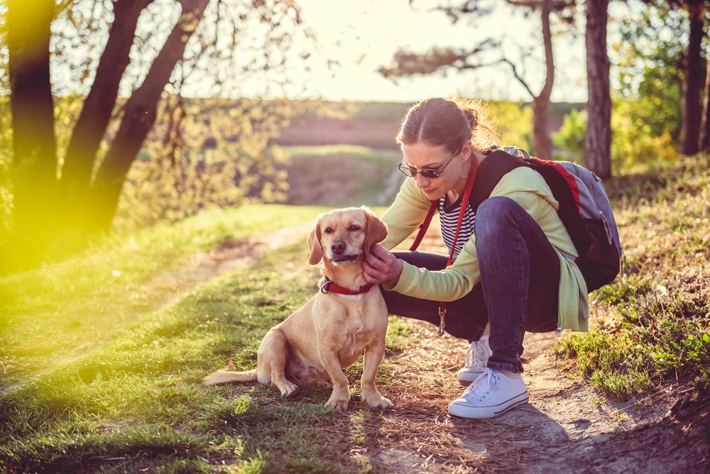 An owner on a hiking trail with their dog checking their dog for ticks.