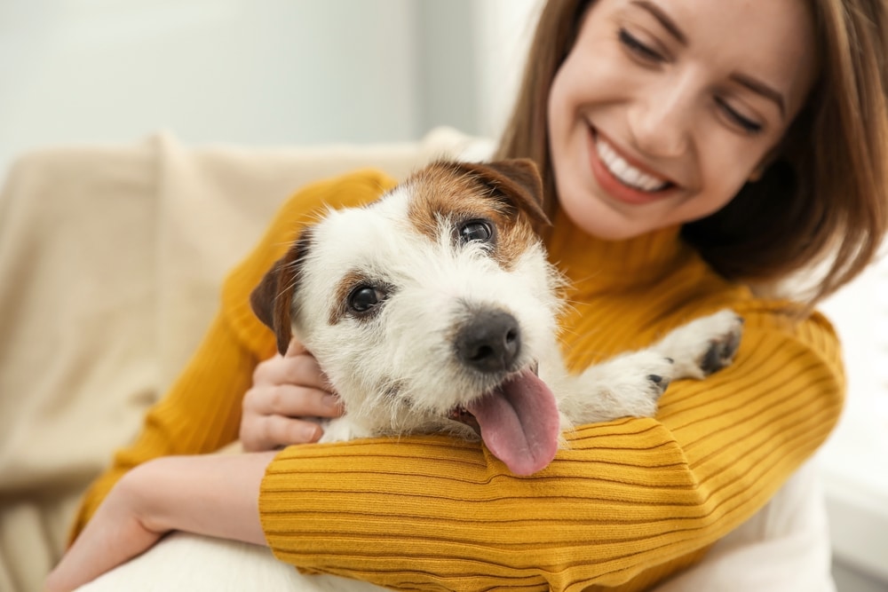 A dog looking at the camera while their owner holds them.