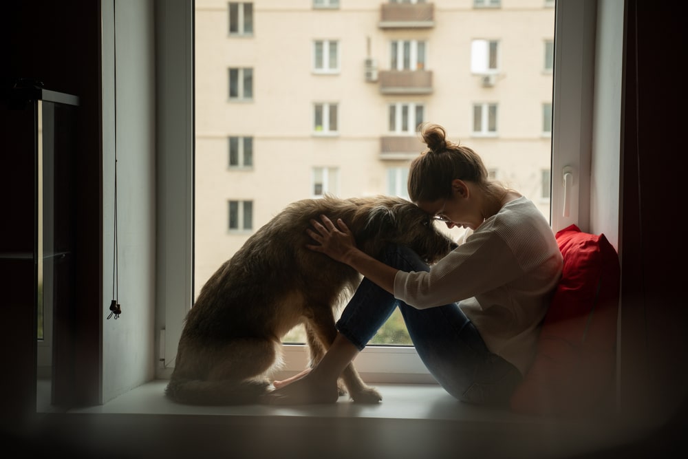 An owner laying their head against their dog's as they both sit down.