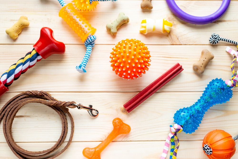 An overhead shot of a bunch of dog products laid out on a table.