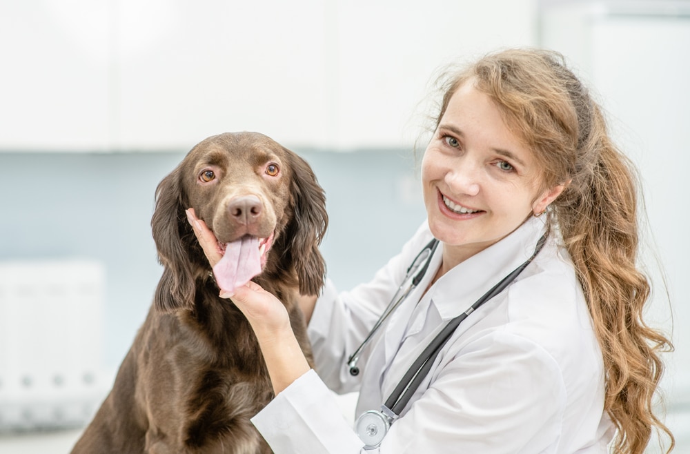 A vet and dog looking at the camera together.