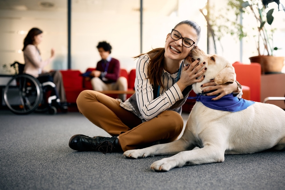 An owner sitting on the floor having fun with their therapy dog.