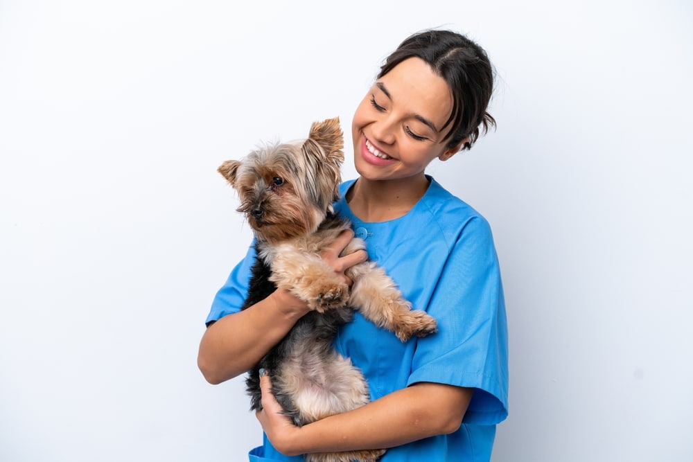 A vet holding a dog.