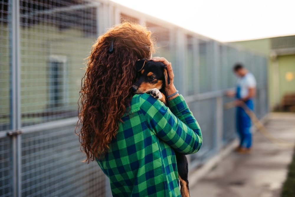 A woman holding a dog at an animal shelter.