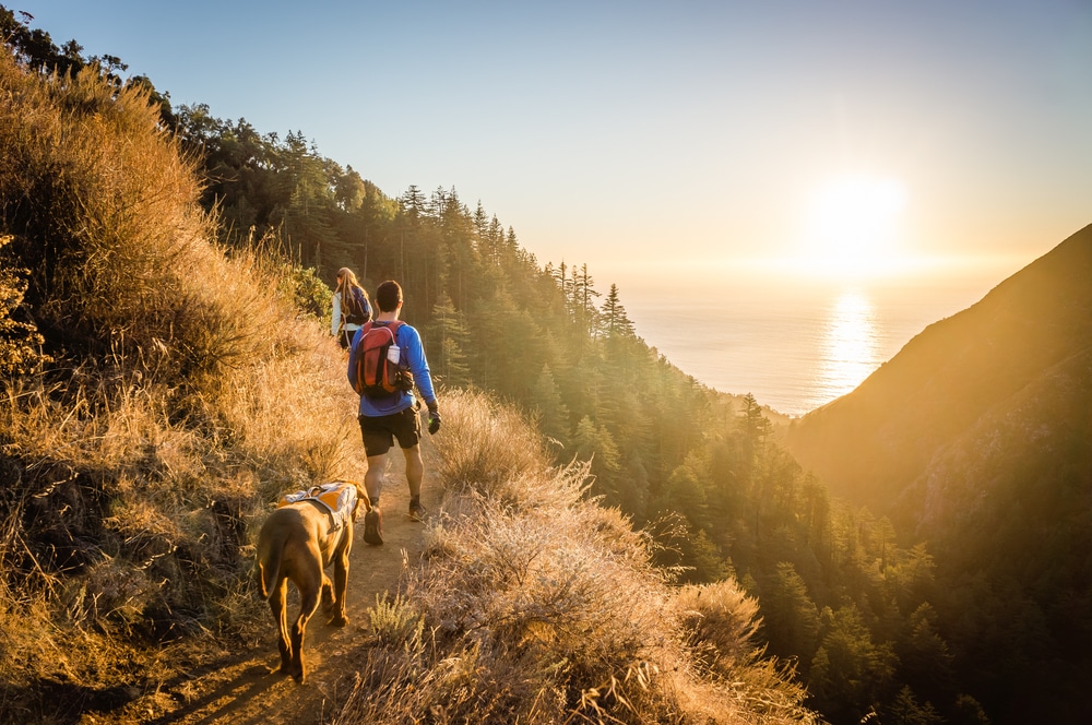 A dog hiking with its owner on a trail through the mountains.