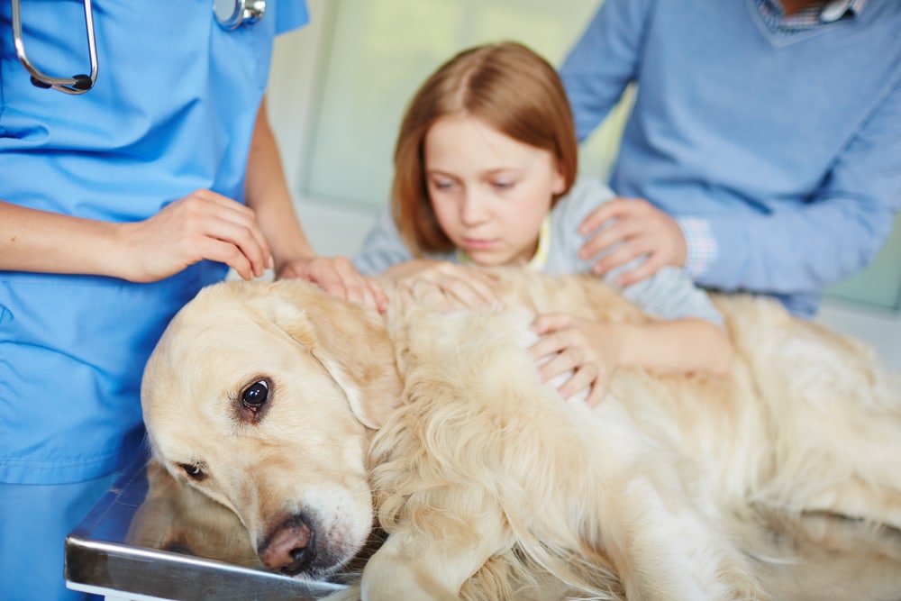 A little girl holding her dog with her mother behind her while the dog lays on a table and gets checked out by the vet.