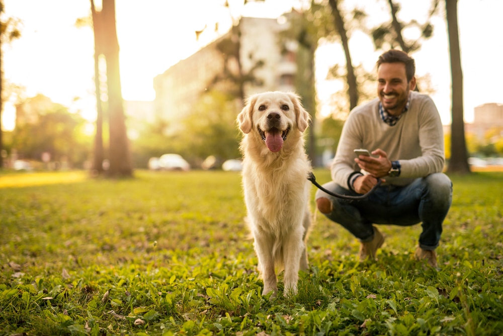 An owner hanging out with their dog outside.