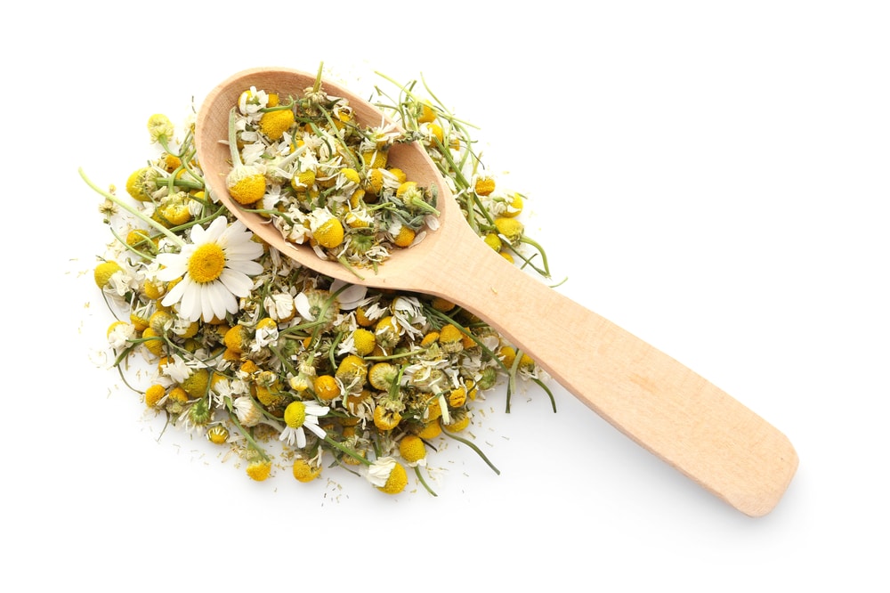 A spoonful of chamomile laying on top of some more chamomile.