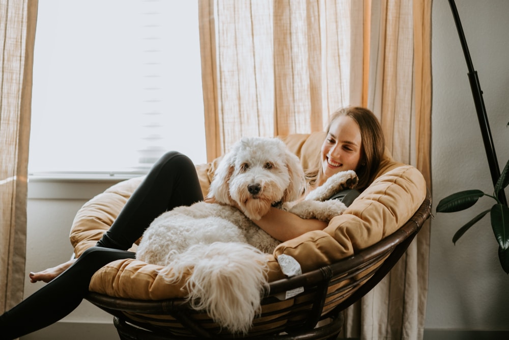 A dog sitter relaxing in a chair with a dog.