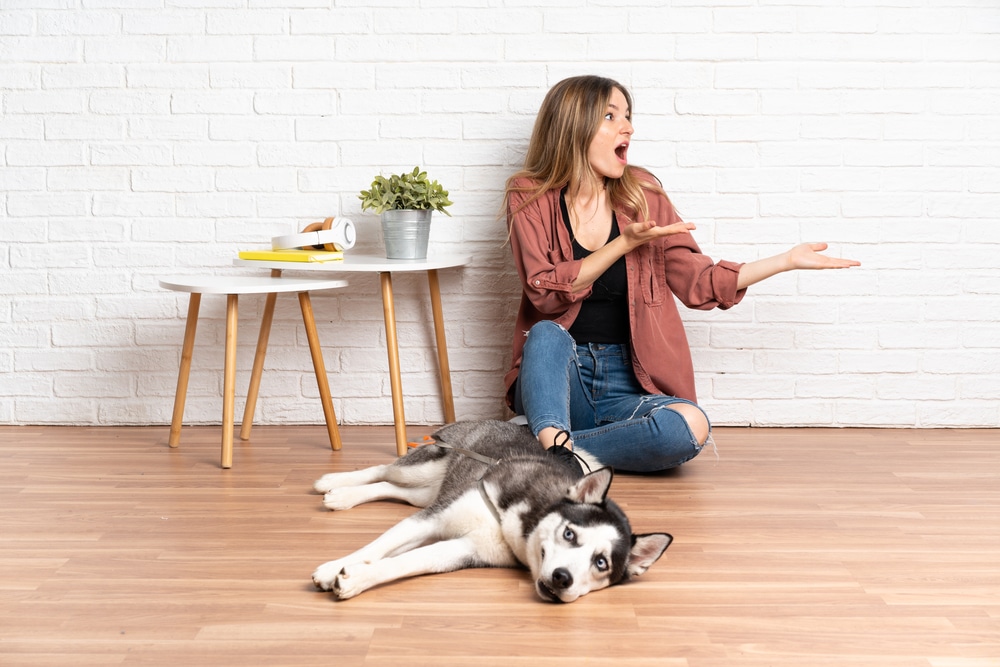 A dog owner sitting on the floor while their dog lays down.