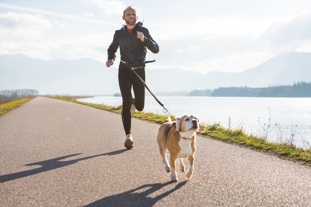 A dog running outside alongside its owner.