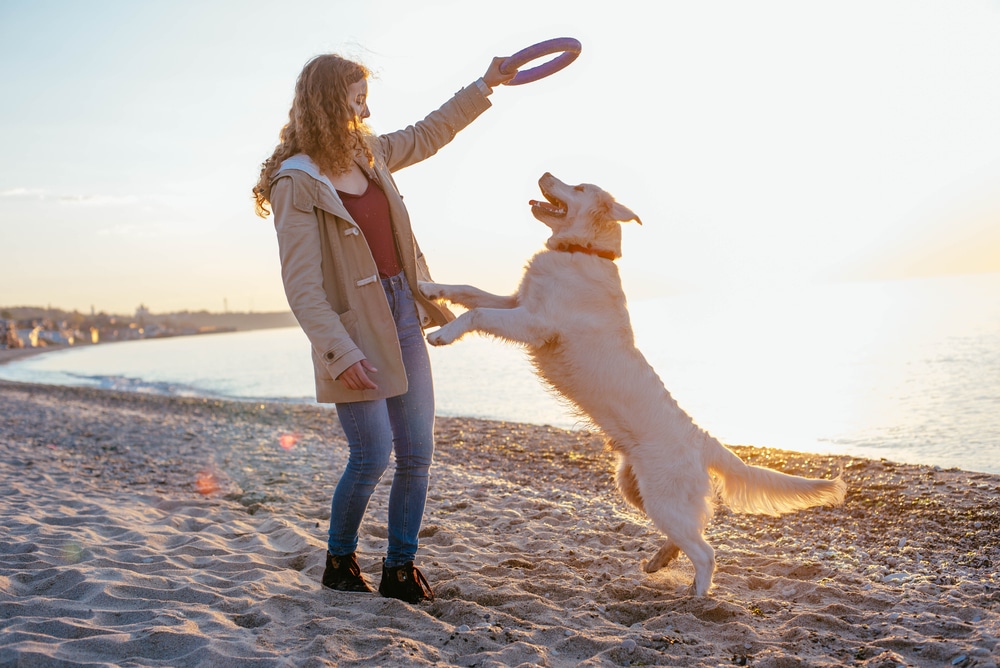 An owner playing fetch with her dog on the beach.